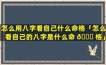 怎么用八字看自己什么命格「怎么看自己的八字是什么命 🐈 格」